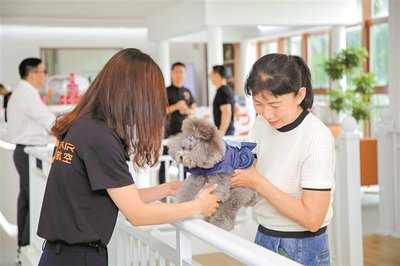 寵物友好服務(wù) 為愛寵提供全方位關(guān)懷