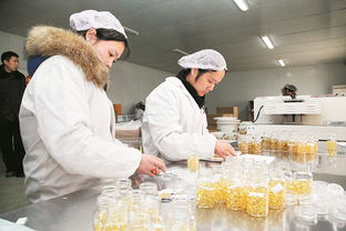 長(zhǎng)葛蜂產(chǎn)業(yè) 星星之火，如何實(shí)現(xiàn)蜂火燎原