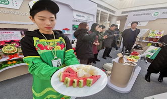 強(qiáng)化基礎(chǔ) 質(zhì)量鏈攜手全國首家農(nóng)業(yè)品牌創(chuàng)意體驗(yàn)港 共建農(nóng)產(chǎn)品質(zhì)量鏈