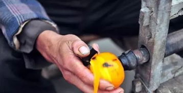 鄉(xiāng)村旅游規(guī)劃設(shè)計(jì) 賺取農(nóng)業(yè)行業(yè)90%收入的初級農(nóng)產(chǎn)品模式探索