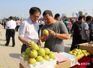 中國(guó)汾西第二屆核桃節(jié)暨消費(fèi)扶貧農(nóng)產(chǎn)品展銷會(huì)盛大開(kāi)幕，助力初級(jí)農(nóng)產(chǎn)品產(chǎn)業(yè)發(fā)展