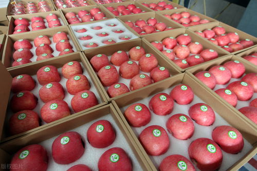 貨主拉蘋(píng)果蕉被收千元過(guò)路費(fèi) 農(nóng)產(chǎn)品分類爭(zhēng)議引發(fā)關(guān)注