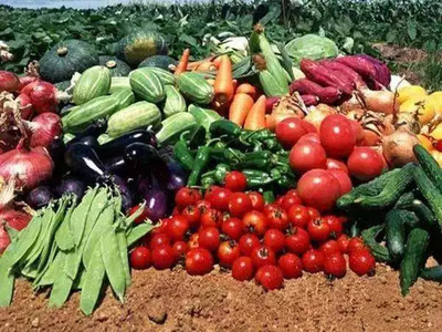 農(nóng)業(yè)產(chǎn)品知多少 家禽家畜篇