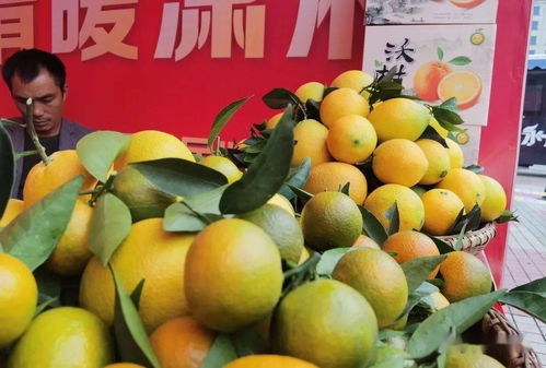 冷水灘 品味天然之味，開(kāi)啟農(nóng)產(chǎn)品“買(mǎi)買(mǎi)買(mǎi)”之旅