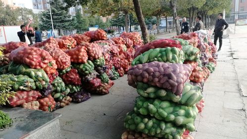 小蘿卜，大愛(ài)心 阜南教育助力濛洼地區(qū)貧困戶農(nóng)產(chǎn)品銷(xiāo)售