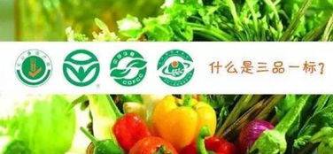 地理標志產品 家禽家畜的獨特品牌基因與價值塑造